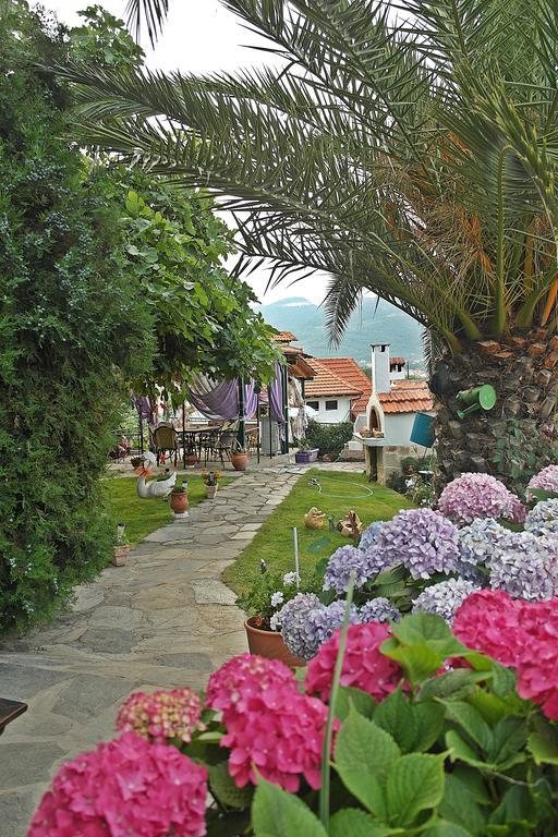 Studios Ifigenia سكالا بوتامياس المظهر الخارجي الصورة